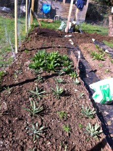 Definitely some progress