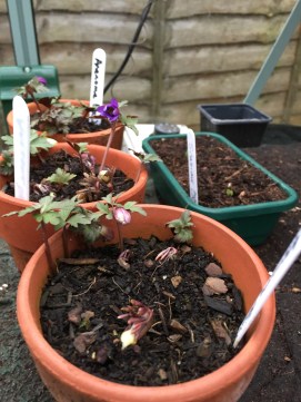 44F24DA0-5C0B-4C0D-A171-75B8A71BA9A8