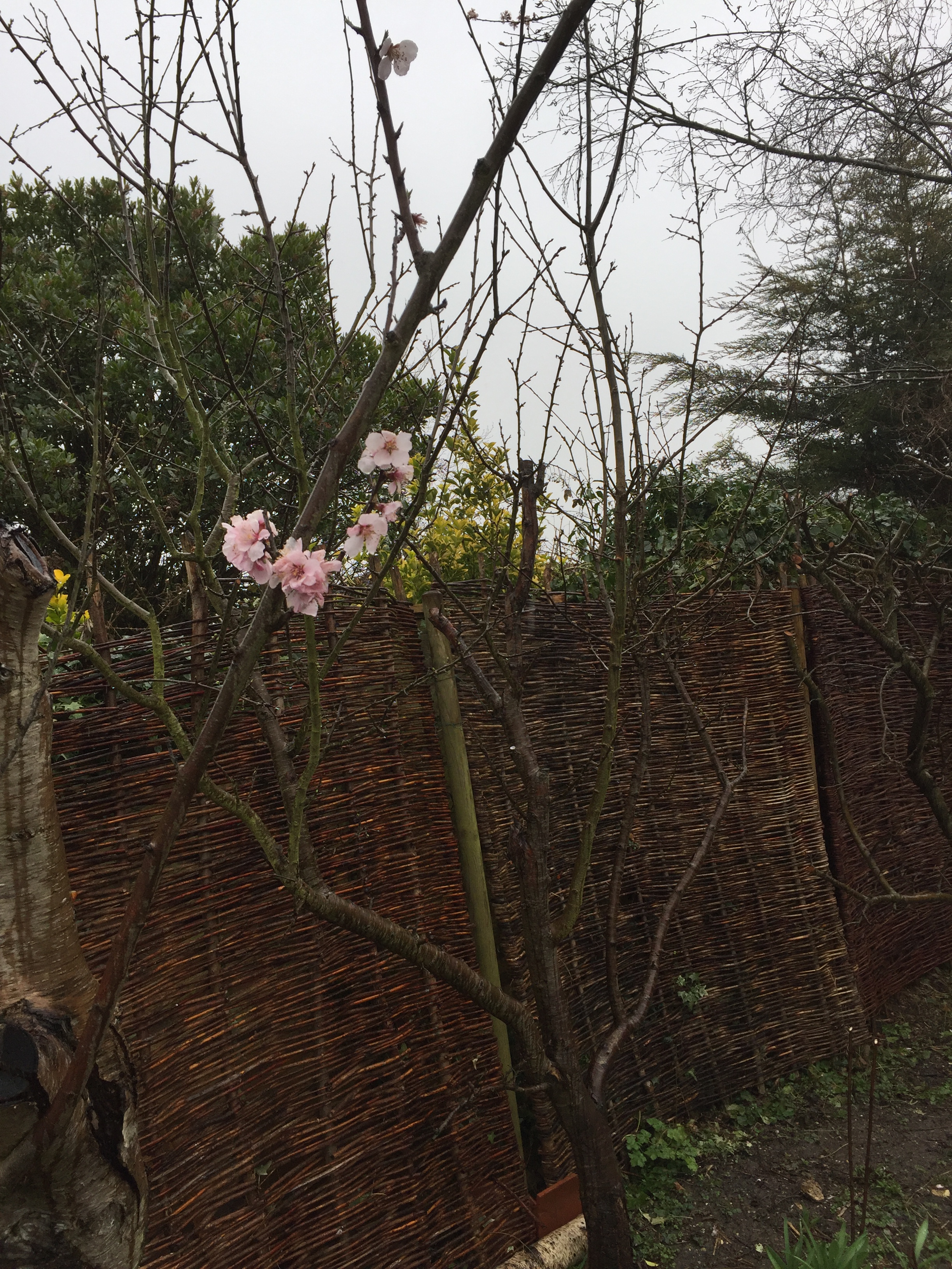 92DA319A-D7A7-43C5-9314-DD782141EED6