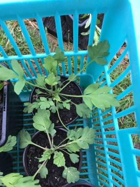 B1361BA9-87AD-40FA-A8E0-AB4402001FE9