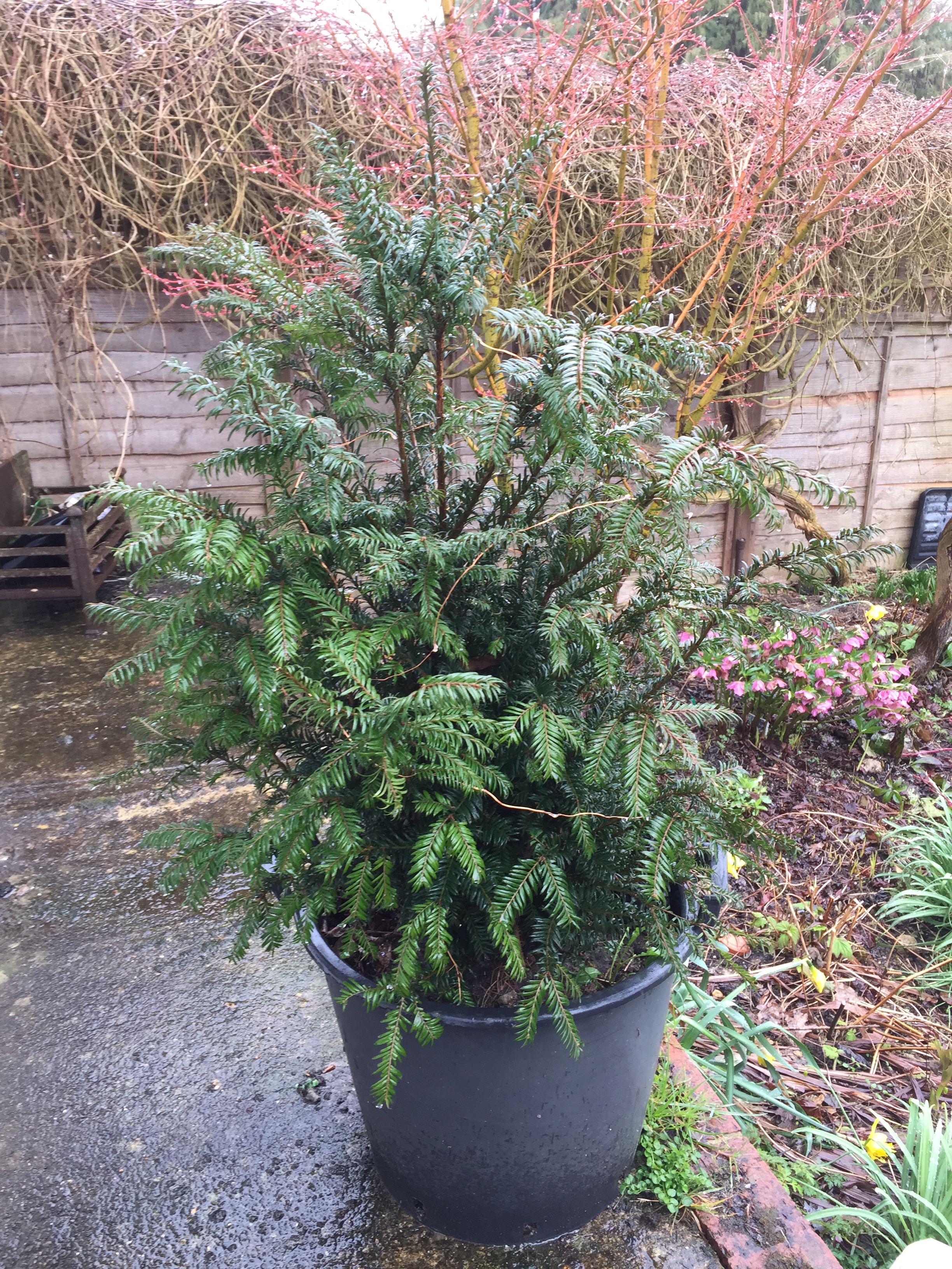 D51DC183-5526-48F3-B8DE-5BE036BA7492