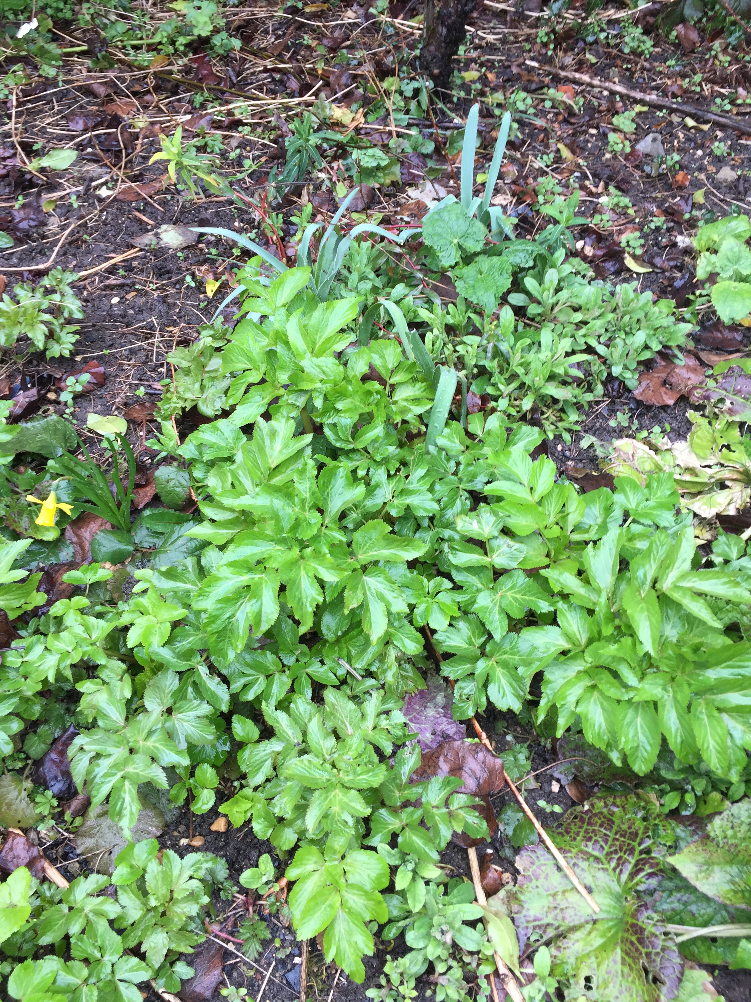 DA9CE4A5-E137-4306-9D6E-D148F6AC4784