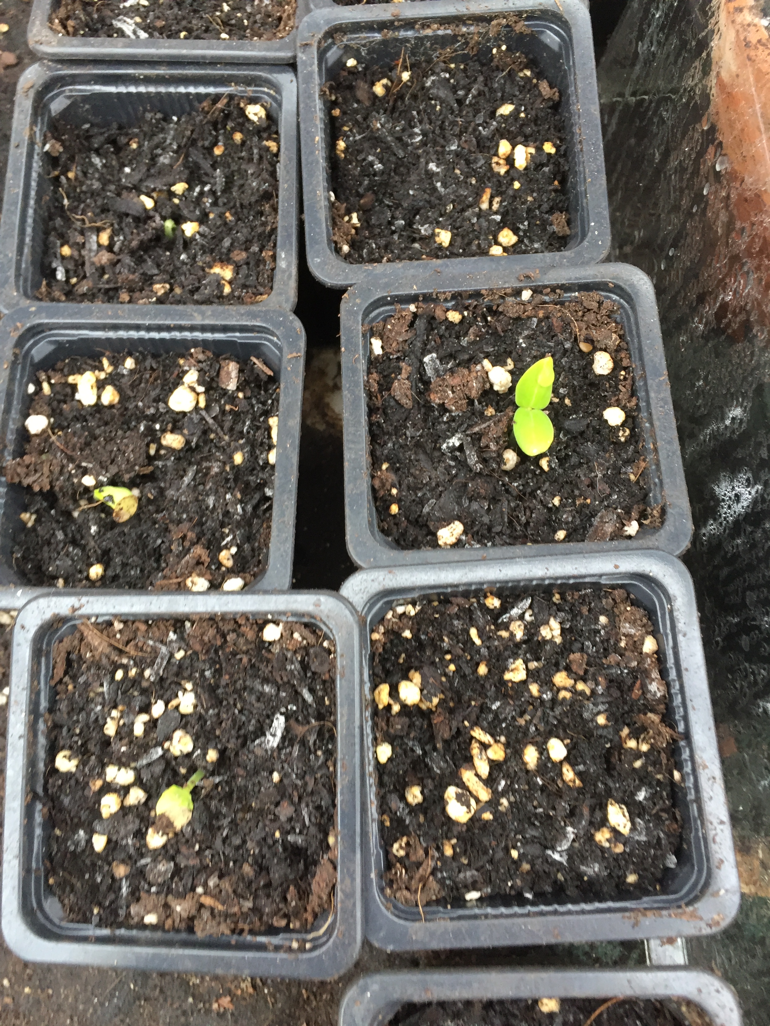 E6D7883D-E253-4A3D-8878-77DE746C5F23