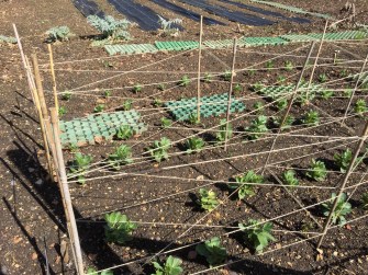 894ECB90-F2F3-4517-A15D-56D2B578FE6D