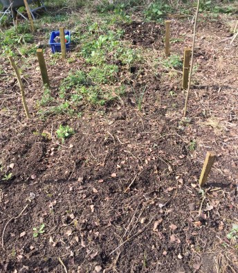 DB24C602-3D1A-48A3-92C7-EFE066A43995